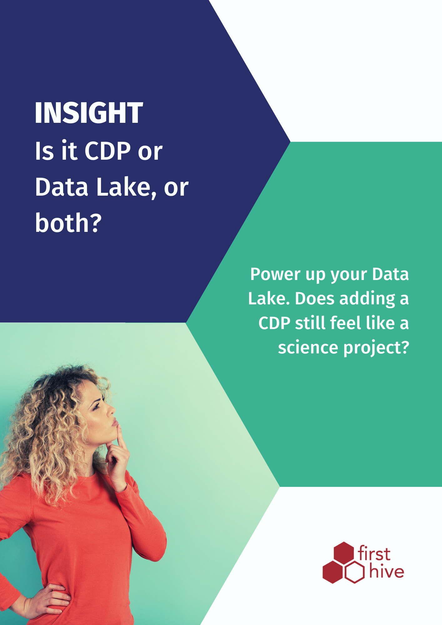 Data lake vs CDP